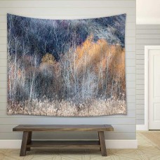 wall26 - Background Nature Landscape of Bare Trees and Grasses in Winter Ravine - Fabric Wall Tapestry Home Decor - 51x60 inches   